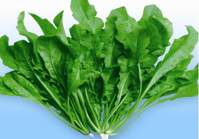 荠菜的营养价值及功效