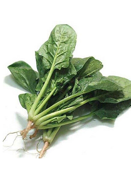 菠菜不能与什么同吃  吃了堪比毒药
