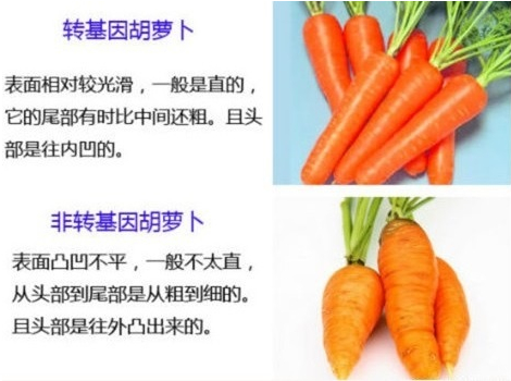 手把手教你鉴别转基因食品