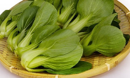 小油菜
