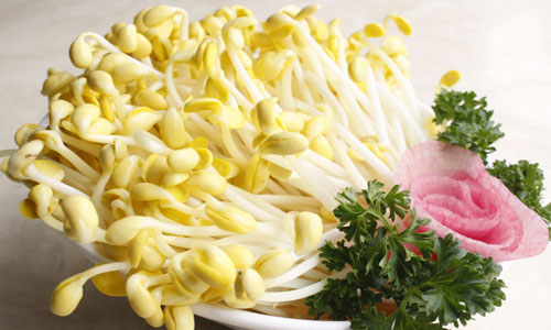 豆芽.jpg