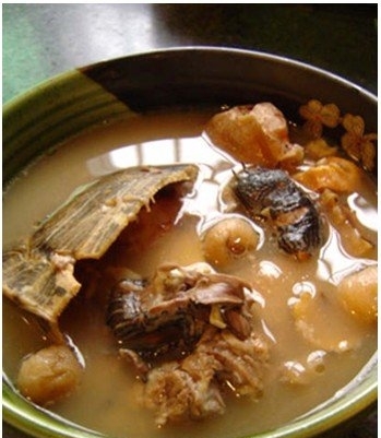 土茯苓煲龟汤 解闷治湿疹