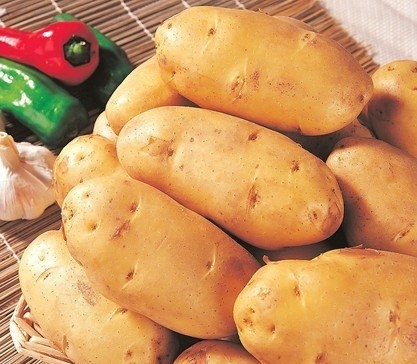 熟土豆冷藏后吃最有营养