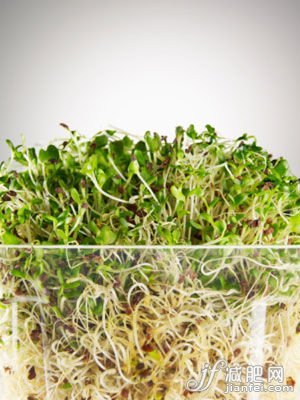 绿豆芽快速减肥法 7天瘦8斤