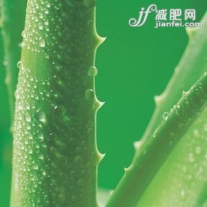 全球瘦身方式 总有适合你的
