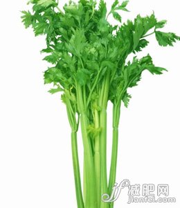 芹菜富含粗纤维