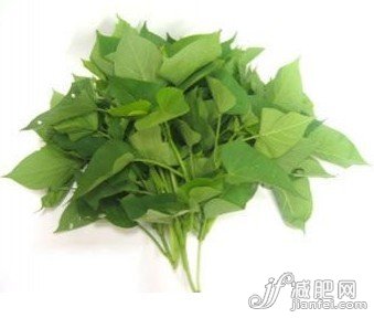 盘点20种五星级瘦身利器食物