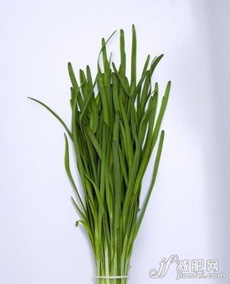 苦瓜韭菜谁是减肥冠军？