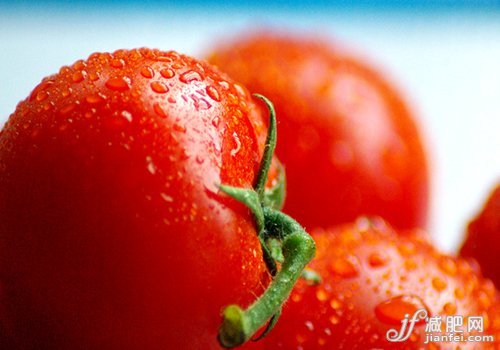 摄入“负卡”食物瘦身更轻松