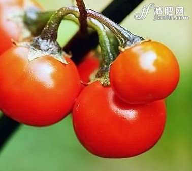 番茄减肥食谱 一周疯狂瘦7斤！