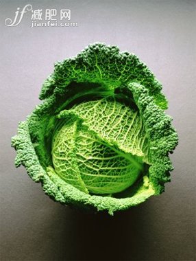 夏季卷心菜瘦身法 为你的减肥便当加上这款