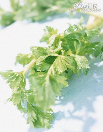 芹菜减肥
