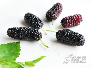 吃什么水果减肥最快 桑葚