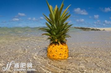 食品,自然,户外,田园风光,站_558963339_Pineapple standing in shallow sea_创意图片_Getty Images China 食品,自然,户外,田园风光,站_558963339_Pineapple standing in shallow sea_创意图片_Getty Images China