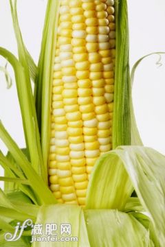 玉米,食品,蔬菜,生食,摄影_501144457_Corn_创意图片_Getty Images China 玉米,食品,蔬菜,生食,摄影_501144457_Corn_创意图片_Getty Images China