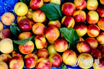 水果,桃,摄影,伊劳达,_520212055_Nectarines_创意图片_Getty Images China 水果,桃,摄影,伊劳达,_520212055_Nectarines_创意图片_Getty Images China