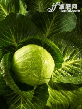 饮食,户外,蔬菜,叶子,水滴_117065580_Cabbage_创意图片_Getty Images China 饮食,户外,蔬菜,叶子,水滴_117065580_Cabbage_创意图片_Getty Images China