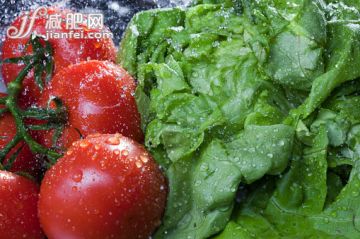 食品,影棚拍摄,室内,红色,蔬菜_561095843_Close up of lettuce and vine tomatoes being washed_创意图片_Getty Images China 食品,影棚拍摄,室内,红色,蔬菜_561095843_Close up of lettuce and vine tomatoes being washed_创意图片_Getty Images China