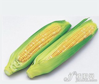 减肥，食品，妙方，热量，饮食，误区