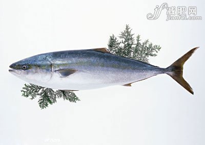 狂吃不胖 12种最棒瘦身食物