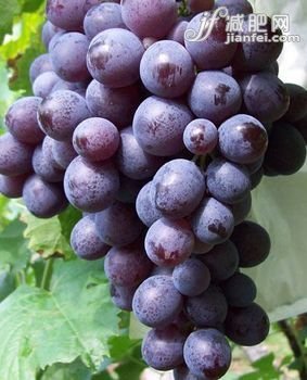 揭真相“难吃”食物很养人