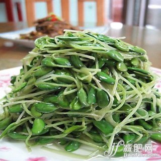 7种食物让你拥有精致小v脸