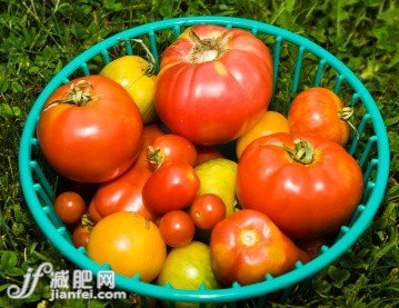 肥胖者必知的减肥小常识