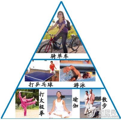 运动金字塔