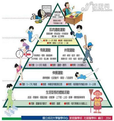 运动金字塔