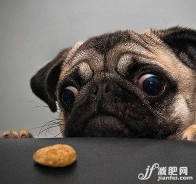 微博风靡戳心戳肺的减肥语录