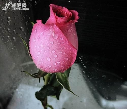 让夜晚成为黄金时间 睡美人的安眠诀窍