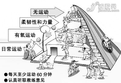 健康减肥运动中的“金字塔”