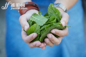薄荷,草本,摄影,2015年,_570090865_Holding freshly picked mint leaves_创意图片_Getty Images China 薄荷,草本,摄影,2015年,_570090865_Holding freshly picked mint leaves_创意图片_Getty Images China