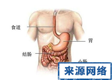 肠子有漏洞 减肥失败 减肥失败原因 如何减肥