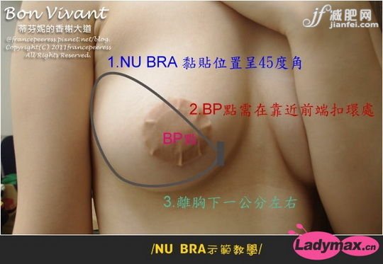 开始黏贴前先看一下黏贴位置构照图