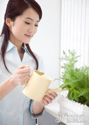在家养一盆绿色植物，润肺又补气