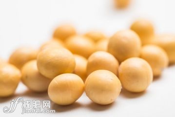 瓷器,健康,健康食物,圆形,组物体_gic13816766_白色背景上的一堆黄豆_创意图片_Getty Images China 瓷器,健康,健康食物,圆形,组物体_gic13816766_白色背景上的一堆黄豆_创意图片_Getty Images China