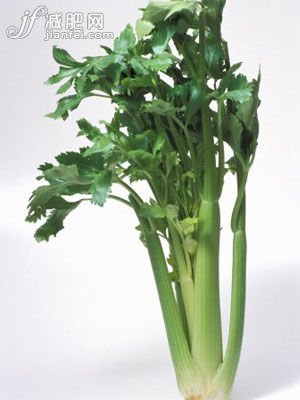 芹菜有助于消化