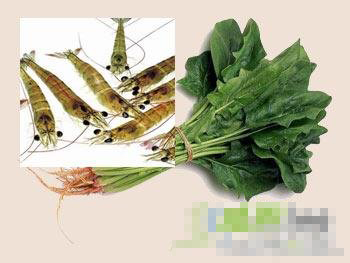 三款简易的菠菜、芦荟瘦身菜谱