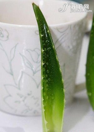 芦荟菜谱