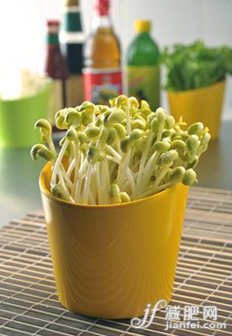 “月光族”低成本韭菜豆芽减肥餐