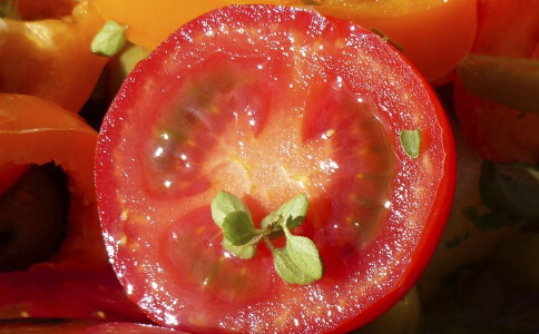 冬季减肥效果最好的食物有哪些 冬季吃什么食物可以减肥 冬季怎么减肥效果最好