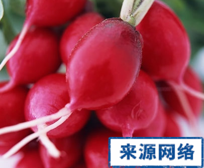 减肥秘方 夏季如何减肥 夏季减肥的注意
