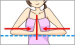必知胸部知识乳房坚挺有弹性