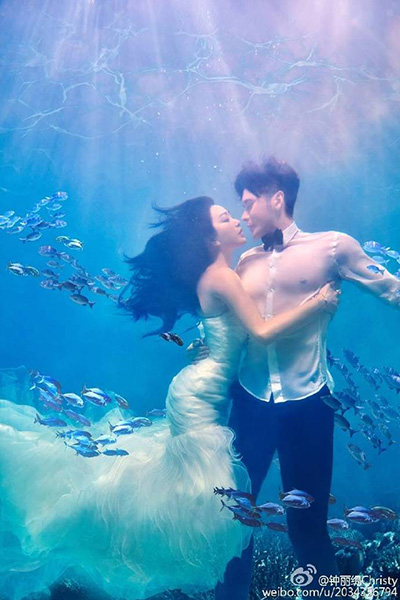 钟丽缇和张伦硕婚纱照