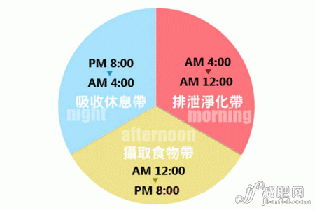 揭晓消耗吸收时间段 减肥更应吃好营养早餐