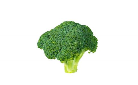 减肥食物 快速减肥法 减肥瘦身 减肥食品