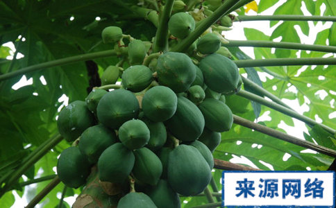 消肿减肥吃什么好 消肿减肥吃什么 吃什么能消肿减肥