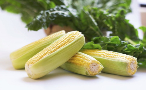 吃素食一定可以减肥吗 吃什么素食可以减肥 素食减肥食谱
