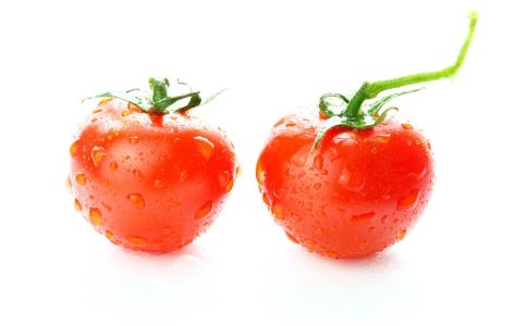 怎么减肥效果最好 生活中要怎么减肥 哪些技巧可以帮助减肥